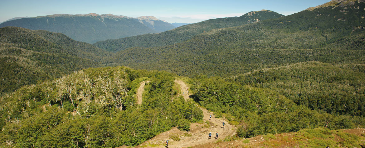 camino