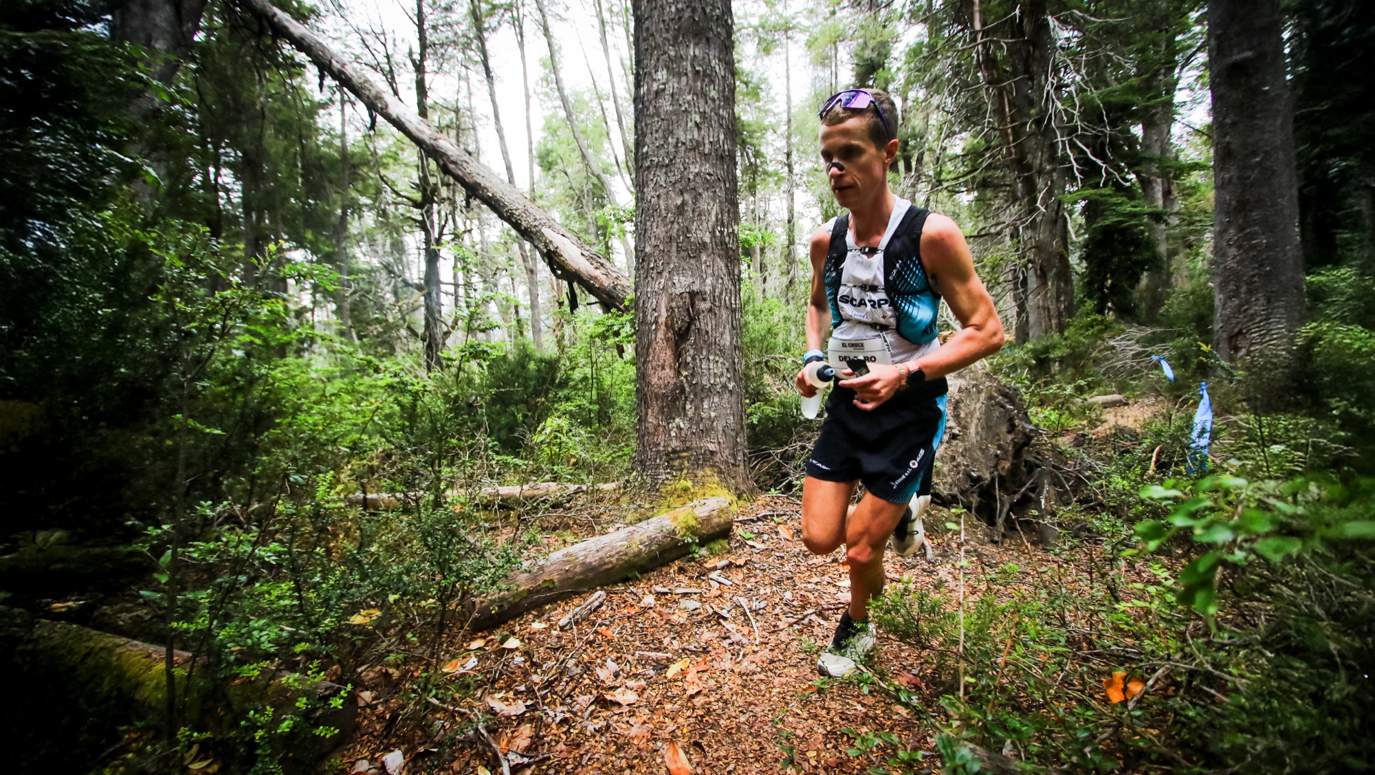 A runner moves along a trail through the forest